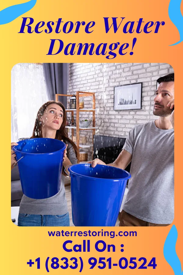 water restoration Universal Water Mitigation Inc Saddle Rock