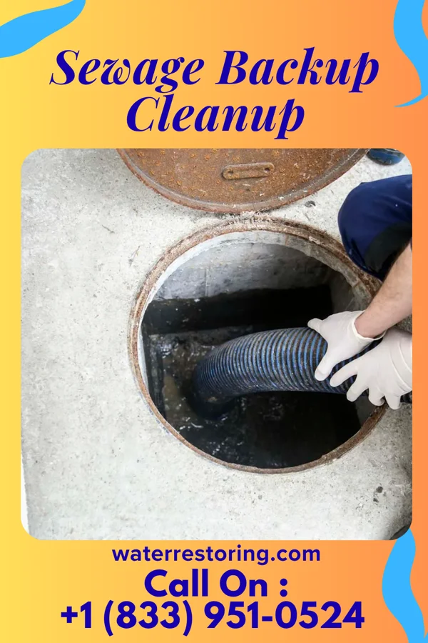Sewage Backup Cleanup in Saddle Rock, NY