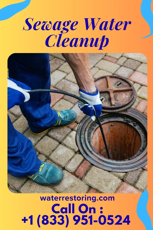 Sewage Water Cleanup in Saddle Rock, NY