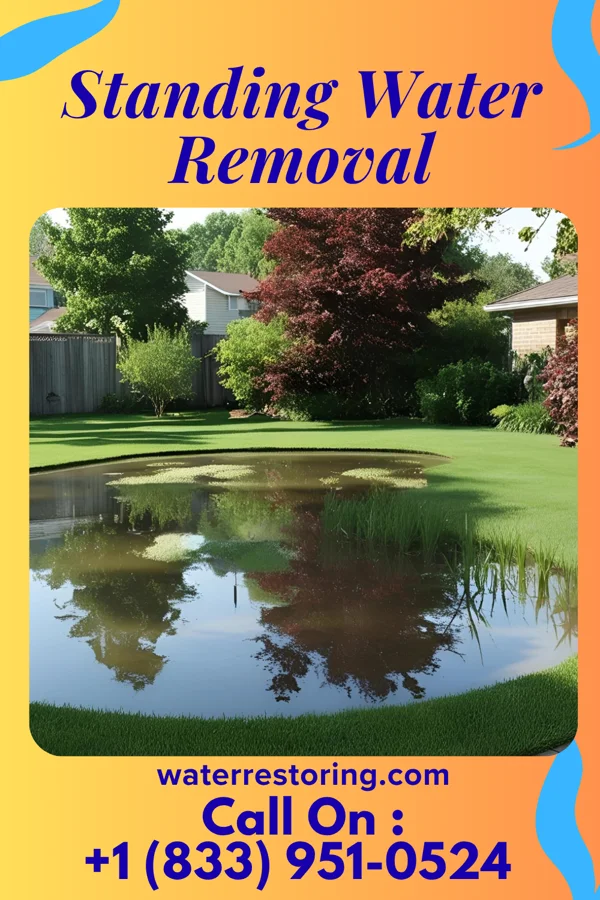 Standing Water Removal in Saddle Rock, NY